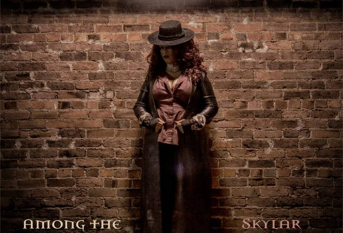 new album of Skylar Rogers – Among the Insanity